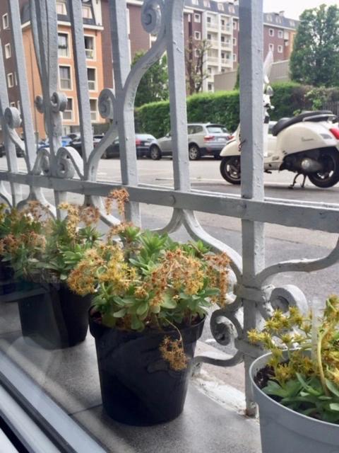 The Small White House In Appartement
