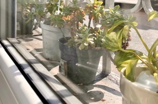 The Small White House In Appartement Milan